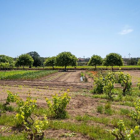 Apartamentos Marcelino - Formentera Break エス・プホルス エクステリア 写真