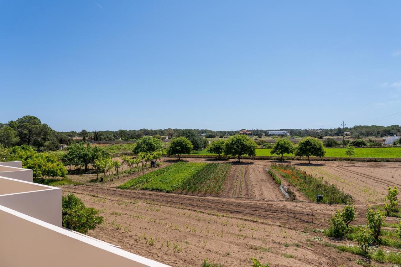 Apartamentos Marcelino - Formentera Break エス・プホルス エクステリア 写真