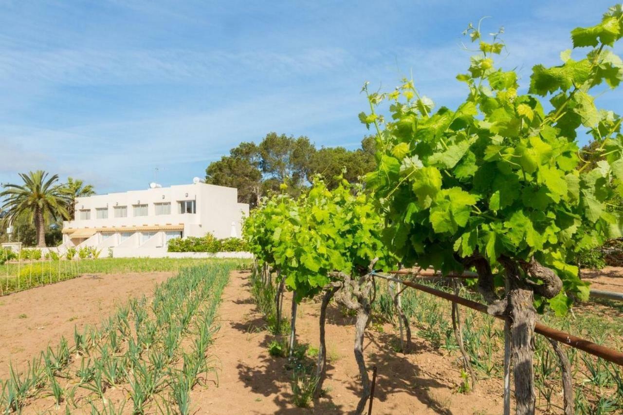 Apartamentos Marcelino - Formentera Break エス・プホルス エクステリア 写真